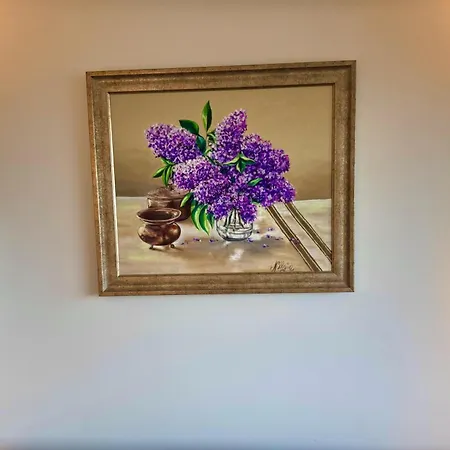 هانيدان فندق 3*