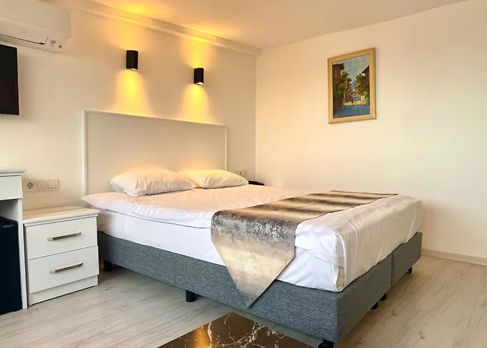 Hanedan Provincia di Istanbul